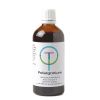 Afbeelding van TW Pelargonium tinctuur