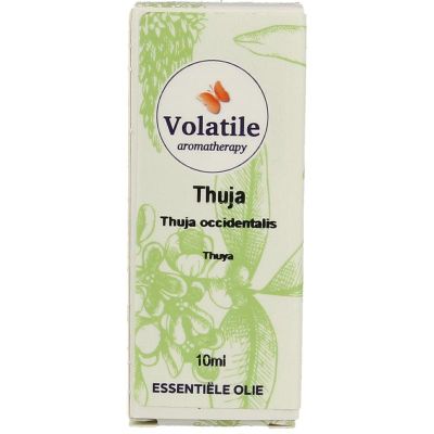 Volatile Thuja