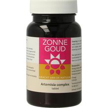 Foto van Zonnegoud Artemisia complex