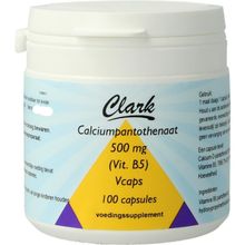 Foto van Clark Vitamine B5 pantotheenzuur 500 mg