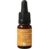 Ladrome Chicoree chicory bio