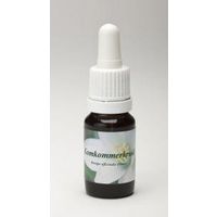 Star Remedies Komkommerkruid