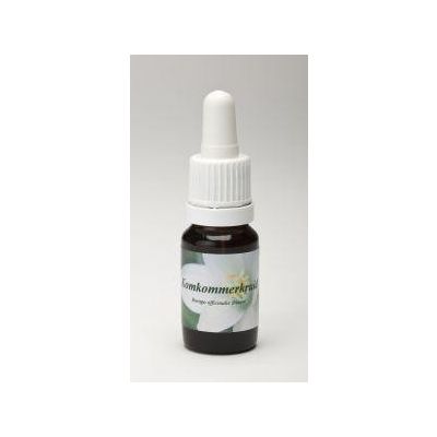 Star Remedies Komkommerkruid