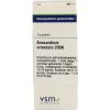 Afbeelding van VSM Anacardium orientale 200K