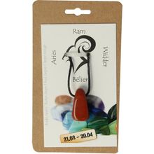 Foto van Sterrenbeeldsteen hanger ram