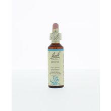 Foto van Beech / beuk