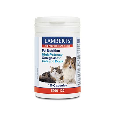 Lamberts Omega 3 voor dieren hond en kat