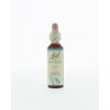 Afbeelding van Rock water / bronwater