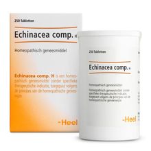 Foto van Heel Echinacea compositum H