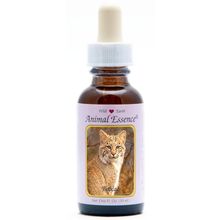 Foto van Animal Essences Bobcat (Amerikaanse lynx)