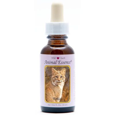 Animal Essences Bobcat (Amerikaanse lynx) 30 ml - Aromatherapie
