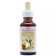 Foto van Animal Essences Gazelle