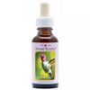 Afbeelding van Animal Essences Hummingbird (kolibri)