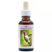Foto van Animal Essences Hummingbird (kolibri)