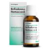 Afbeelding van Heel Belladonna-Homaccord