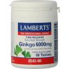 Afbeelding van Lamberts Ginkgo 6000 mg