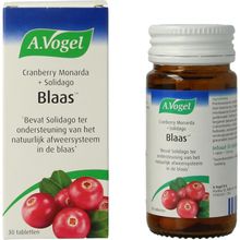 Foto van A Vogel Cranberry monarda