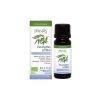 Afbeelding van Physalis Eucalyptus smithii bio