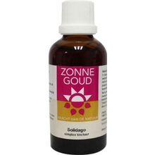 Foto van Solidago simplex