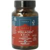 Afbeelding van Terranova Vollagen & silica complex