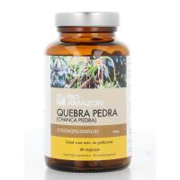Rio Amazon Rio quebra pedra steengruiskruid