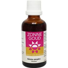 Foto van Betula simplex