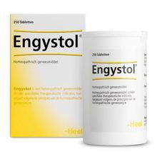 Foto van Heel Engystol