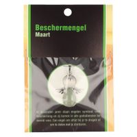 Beschermengel maart