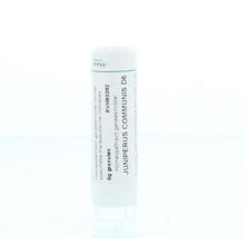 Foto van Homeoden Heel Juniperus communis D6