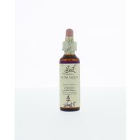 Water violet / waterviolier