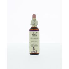 Foto van Water violet / waterviolier