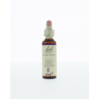 Foto van Water violet / waterviolier