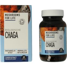 Foto van Mushrooms F Life Chaga bio