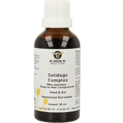 Foto van Groene Os Solidago complex hond/kat