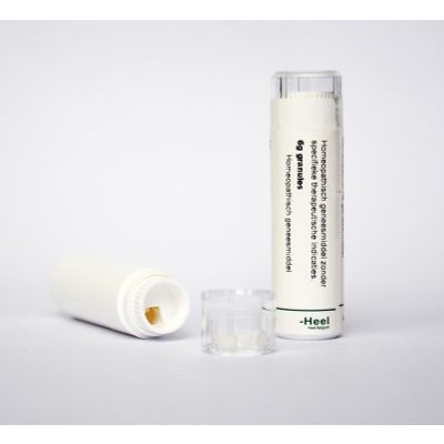 Homeoden Heel Phytolacca decandra D30 6 gram - Homeopathische geneesmiddelen