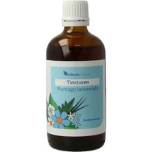 Foto van Balance Pharma Plantago lanceolata tincturen