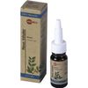 Afbeelding van Mentha neus inhaler