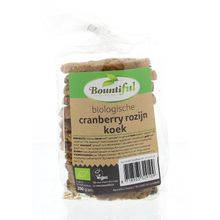 Foto van Bountiful Cranberry rozijnkoek bio