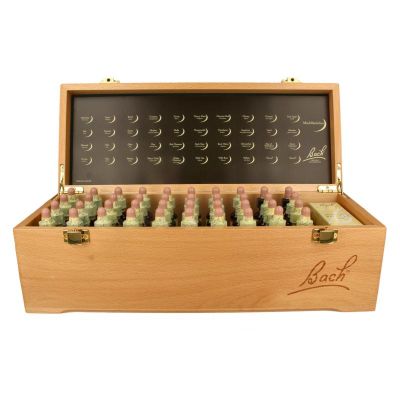 Set 20ml in door Bach gesigneerde luxe houten kist