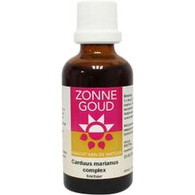 Foto van Carduus marianus complex