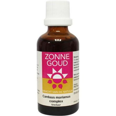 Foto van Carduus marianus complex