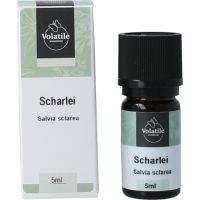 Volatile Scharlei