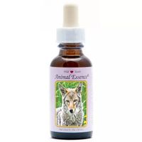 Animal Essences Coyote (prairiewolf)