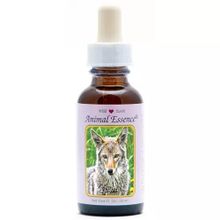 Foto van Animal Essences Coyote (prairiewolf)