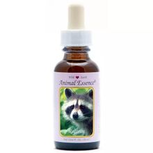 Foto van Animal Essences Raccoon (wasbeer)