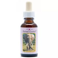 Animal Essences Elephant (olifant)