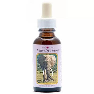 Animal Essences Elephant (olifant)