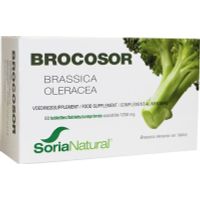 Soria Brocosor