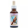 Afbeelding van Animal Essences Sparrow (mus)