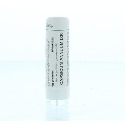 Homeoden Heel Capsicum annuum D30 6 gram - Homeopathische geneesmiddelen
